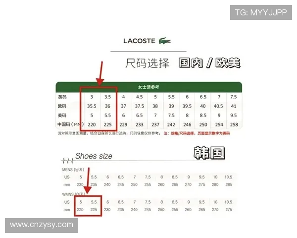 网球装备选购指南:如何选择适合自己的网球鞋推荐 网球装备选购指南:如何选择适合自己的网球鞋推荐