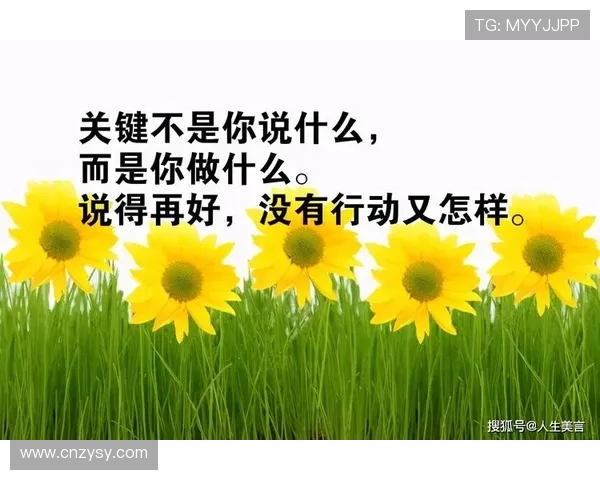 杭州足球队逆袭之路揭示团队精神与奋斗拼搏的传奇故事